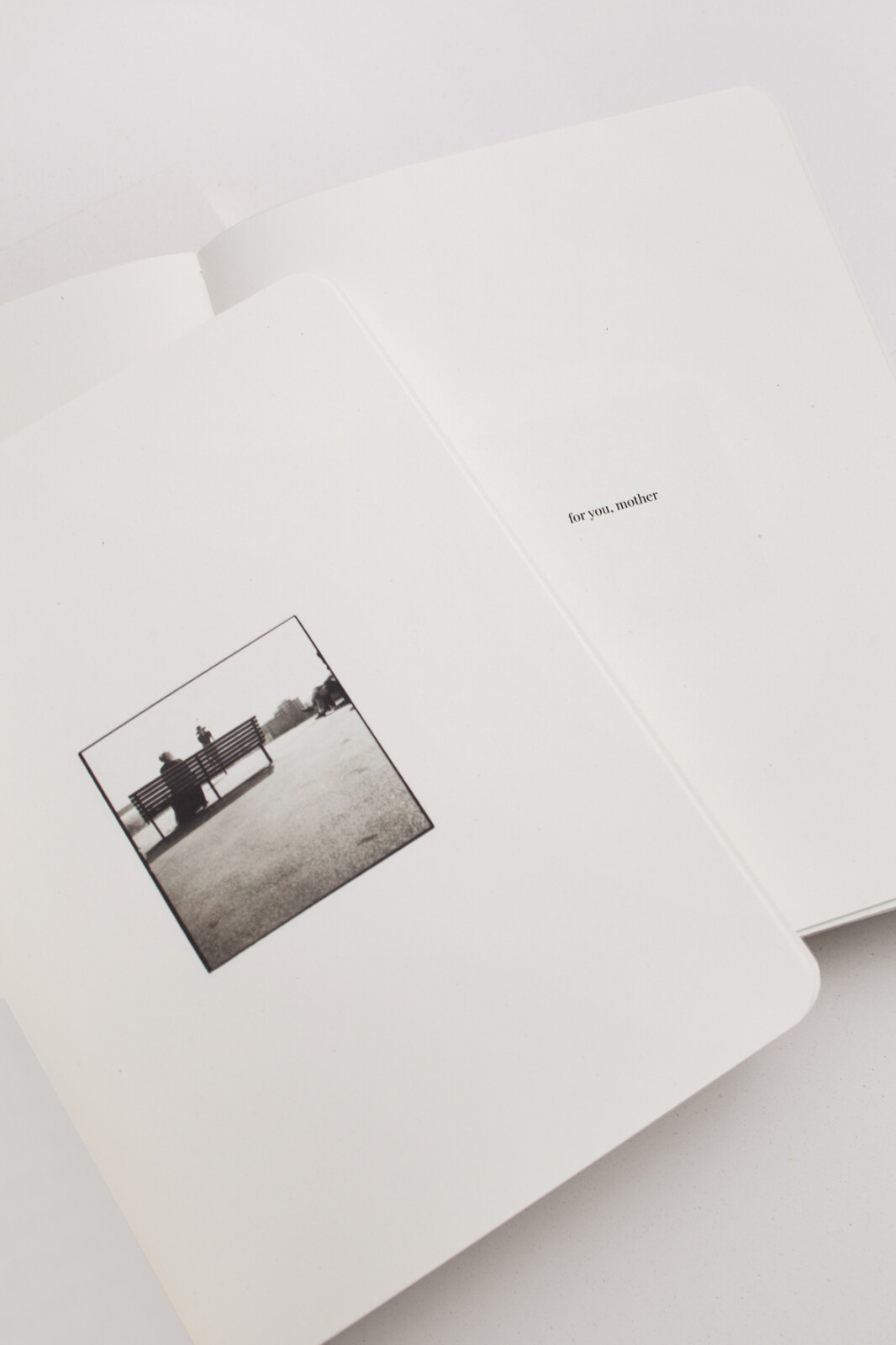 SONIA MARIN TWP the book
