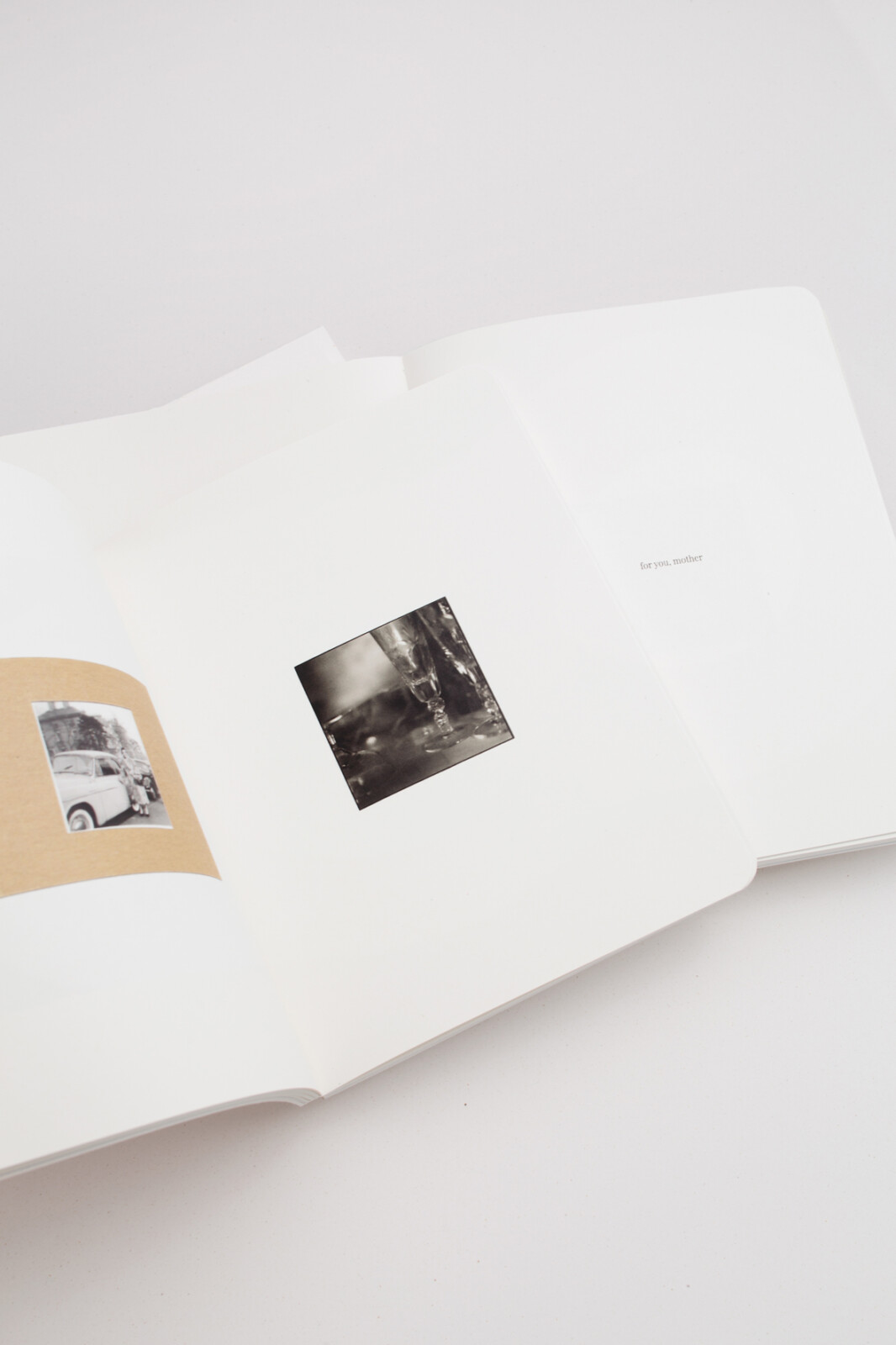 SONIA MARIN TWP the book