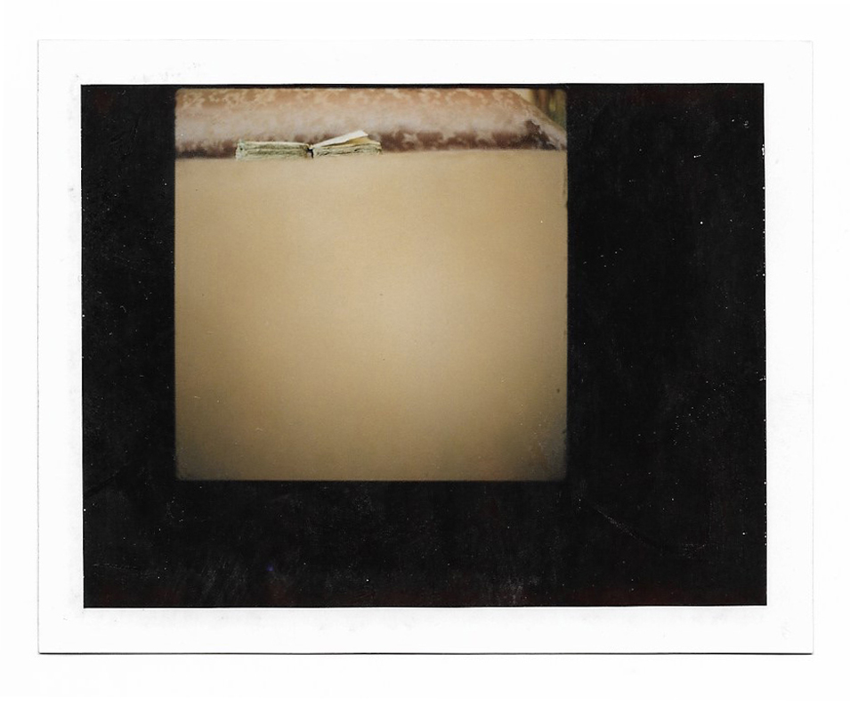 SONIA MARIN Polaroid