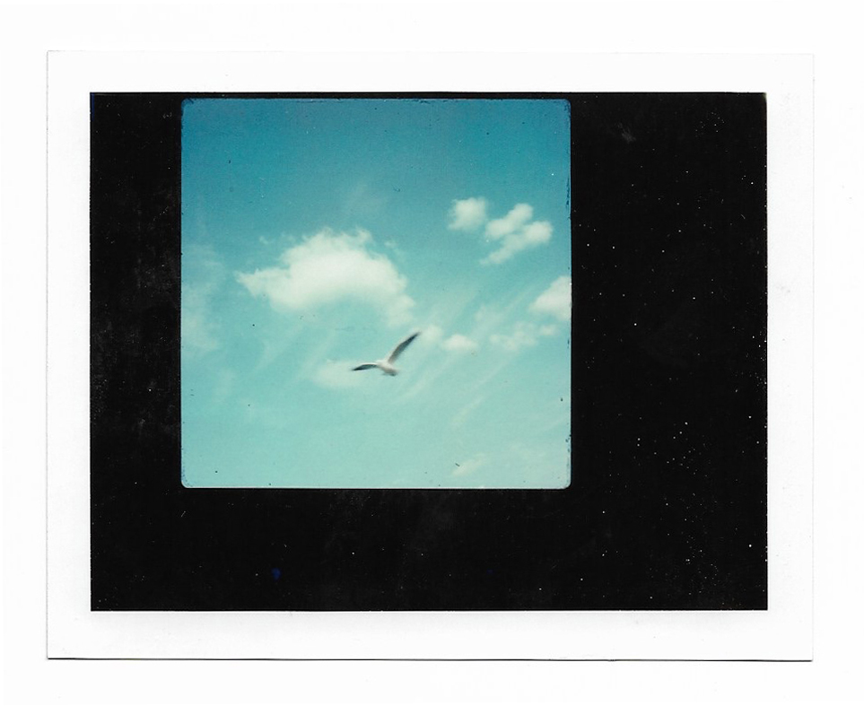 SONIA MARIN Polaroid