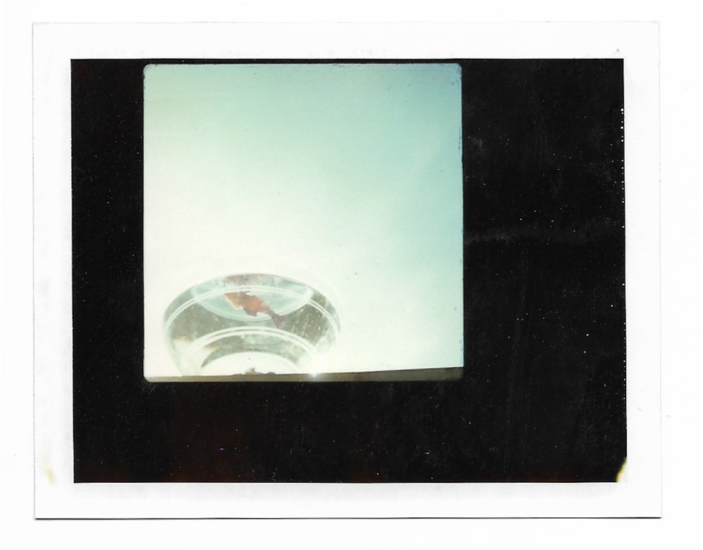 SONIA MARIN Polaroid