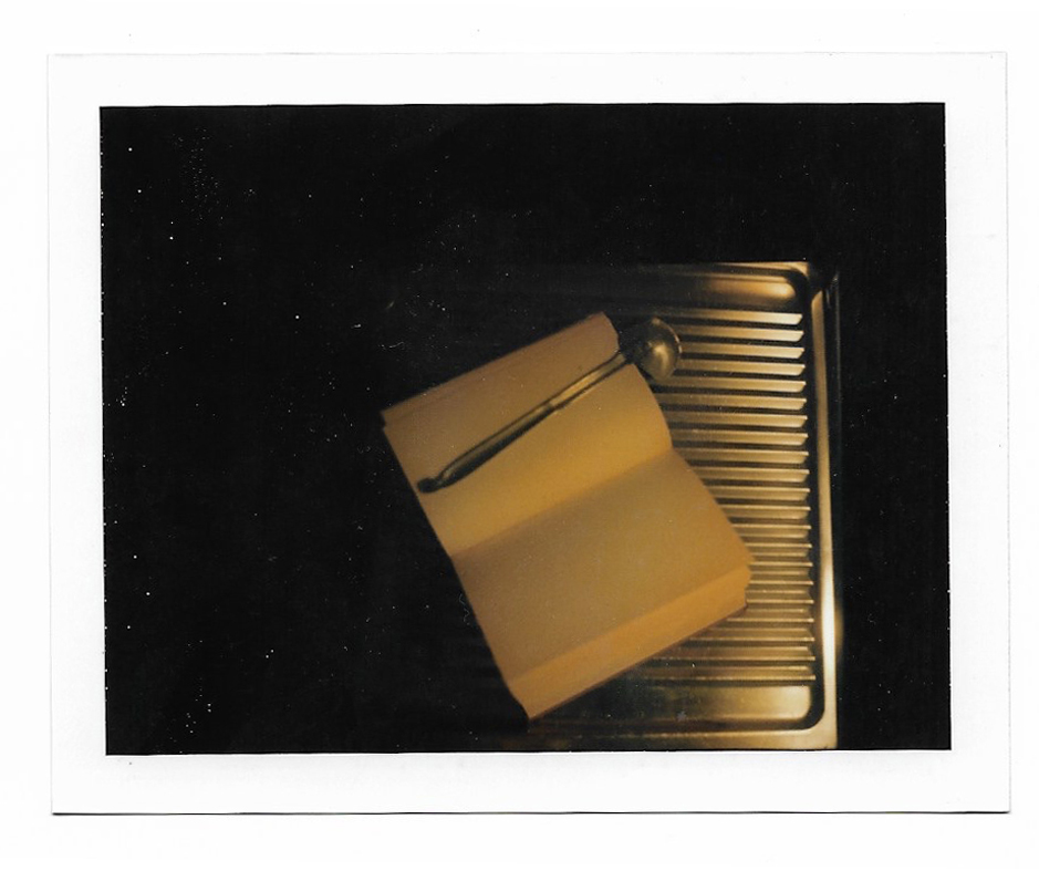 SONIA MARIN Polaroid