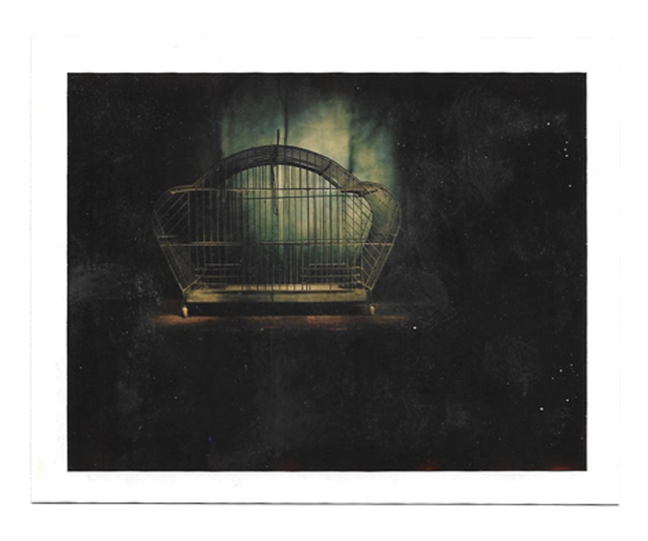 SONIA MARIN Polaroid